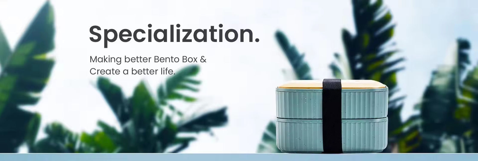 Bento Lunch Box