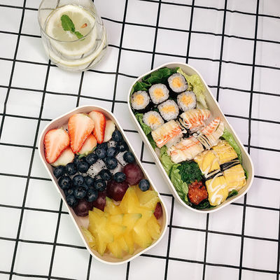 Double Layer Lunch Box with Spoon Microwave Safe Food Container 189.5*105*113 mm