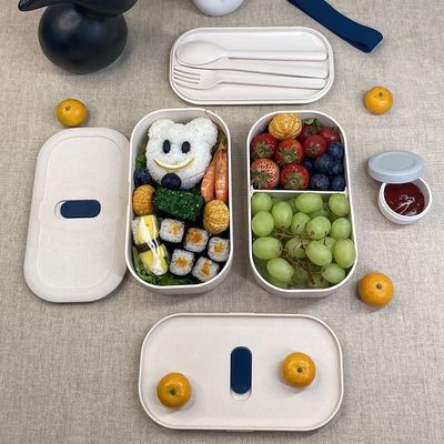 Dual Tier Leak Proof High Capacity Kids Bento Box with Cutlery TF109