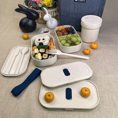 Dual Tier Leak Proof High Capacity Kids Bento Box with Cutlery TF109