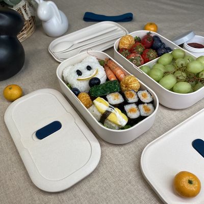 Dual Tier Leak Proof High Capacity Kids Bento Box with Cutlery TF109