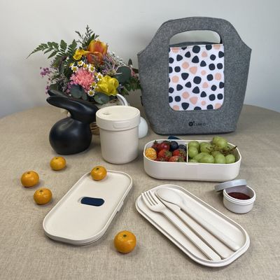 Sample Free Sample Food Grade Microwave Safe Plastic Bento Lunch Box with Cutlery 226g