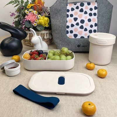 Household Microwave Safe Lunch Box with Fresh-Keeping Function and Eco-Friendly Design