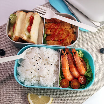 Food Storage Container BPA Free with 2 Layers and Cutlery Included