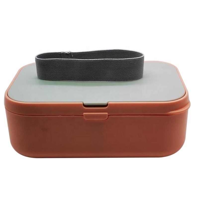 Customizable Large Capacity BPA Free Bento Lunch Box with Cutlery and Movable Divider
